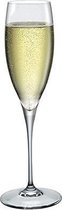 Premium champagneglas - champagneglazen - 26cl - 6 stuks