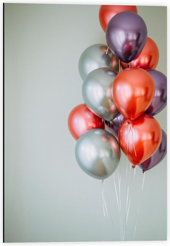 Dibond - Bosje Ballonnen - 40x60cm Foto op Aluminium (Wanddecoratie van metaal)
