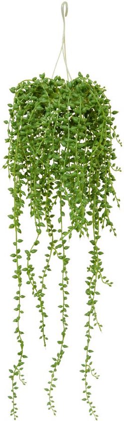 Maxifleur - Plante rampante artificielle Senecio 60 cm