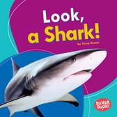 Bumba Books ® — I See Ocean Animals - Look, a Shark!