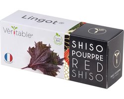 Véritable® Lingot® Organic purple Shiso - BIO AZIATISCHE PAARSE SHISO navulling voor alle Véritable® binnenmoestuin-toestellen