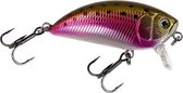 DAM Effzett Pro Lite Shallow Crank - 4 cm - rainbow trout