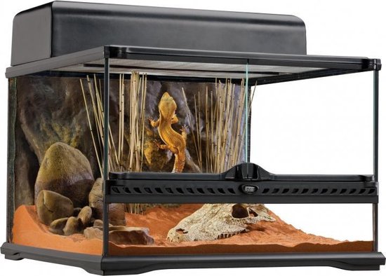 Exo Terra glas terrarium incl achterwand 45x45x30CM
