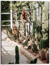 Dibond - Cactussen pad  - 30x40cm Foto op Aluminium (Met Ophangsysteem)