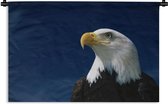 Wandkleed Amerikaanse zeearend - Een wegkijkende Amerikaanse zeearend in een blauwe lucht Wandkleed katoen 180x120 cm - Wandtapijt met foto XXL / Groot formaat!