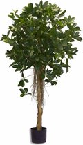 Kunstplant Schefflera klein blad 150 cm
