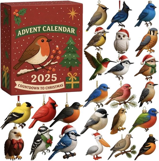 Foto: 2025 adventskalenders 2025 advent kerstkalenders 24 dagen 2d afteldecoratie acryl kolibrie ornament perfect voor thuis kerstboom vrienden vogelliefhebbers kerstcadeau