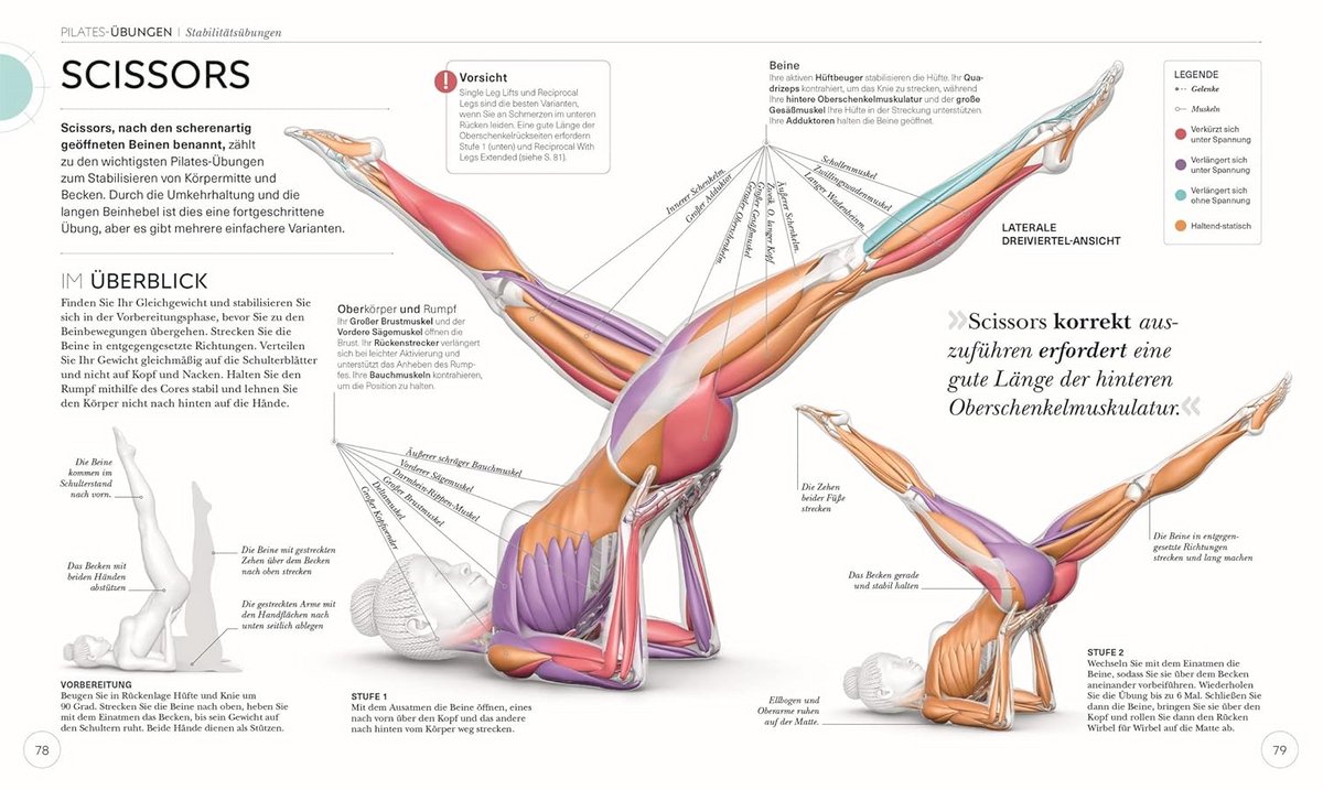 Pilates Anatomie Oefengids voor Sterke en Flexibele Core - afbeelding 3