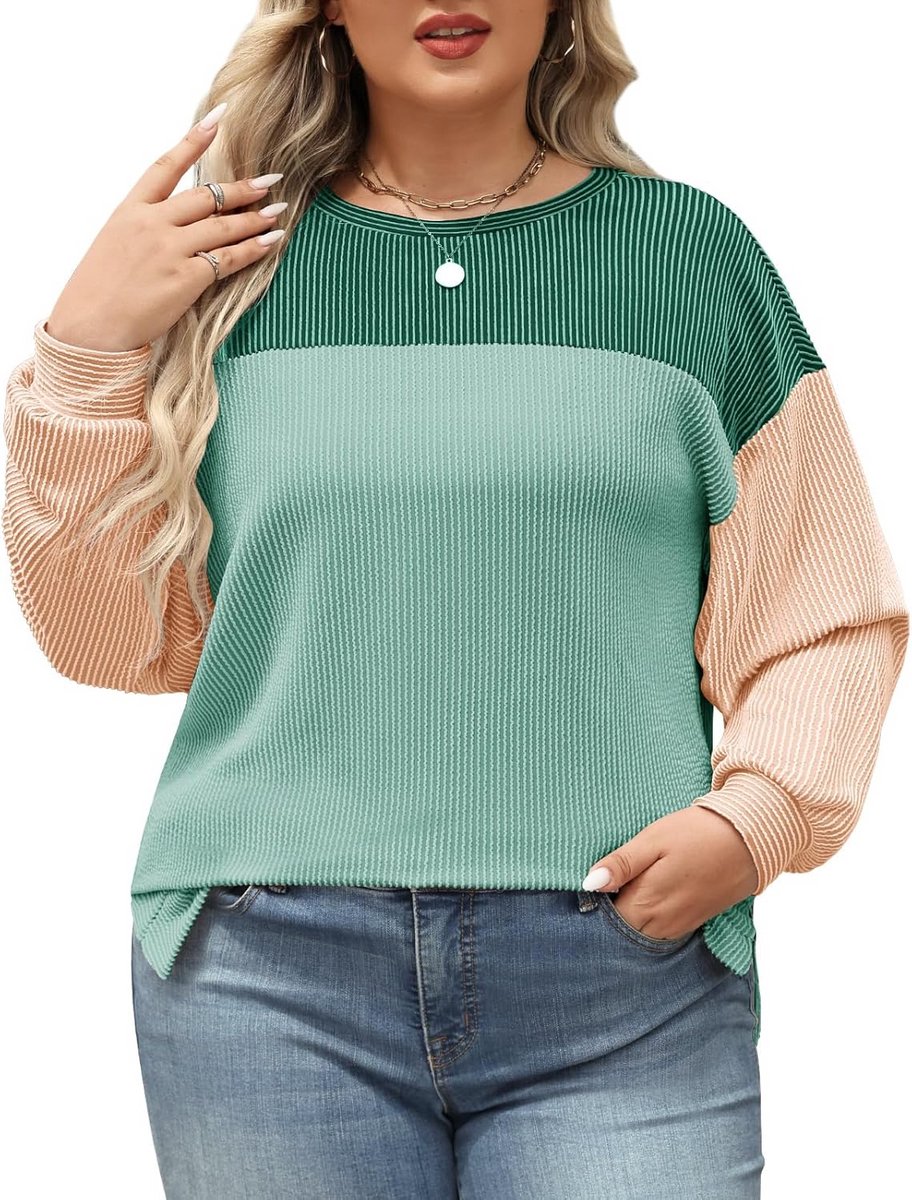 Dames Oversized Sweatshirt Lange Mouwen Ronde Hals Kleurblok Grote Maten