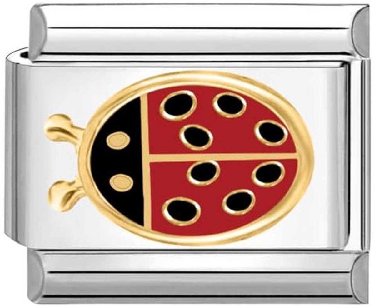 9mm Italiaanse Charm Module van Roestvrij Staal - Ideaal voor Armbanden