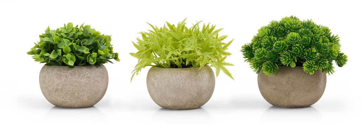 Unyqoos Set van drie levensechte kunstplanten voor huis en kantoor decoratie groen