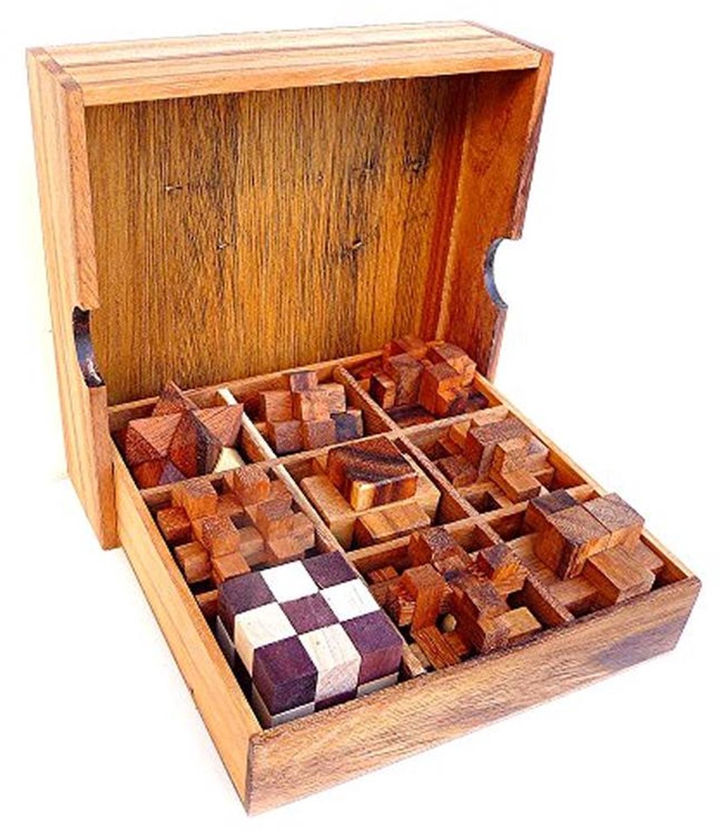 Houten 9-in-1 Logica Puzzels - Breinbrekers Set voor Alle Moeilijkheden