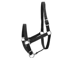 Barato Halfter Barato Basic Zwart | Maat: Paard
