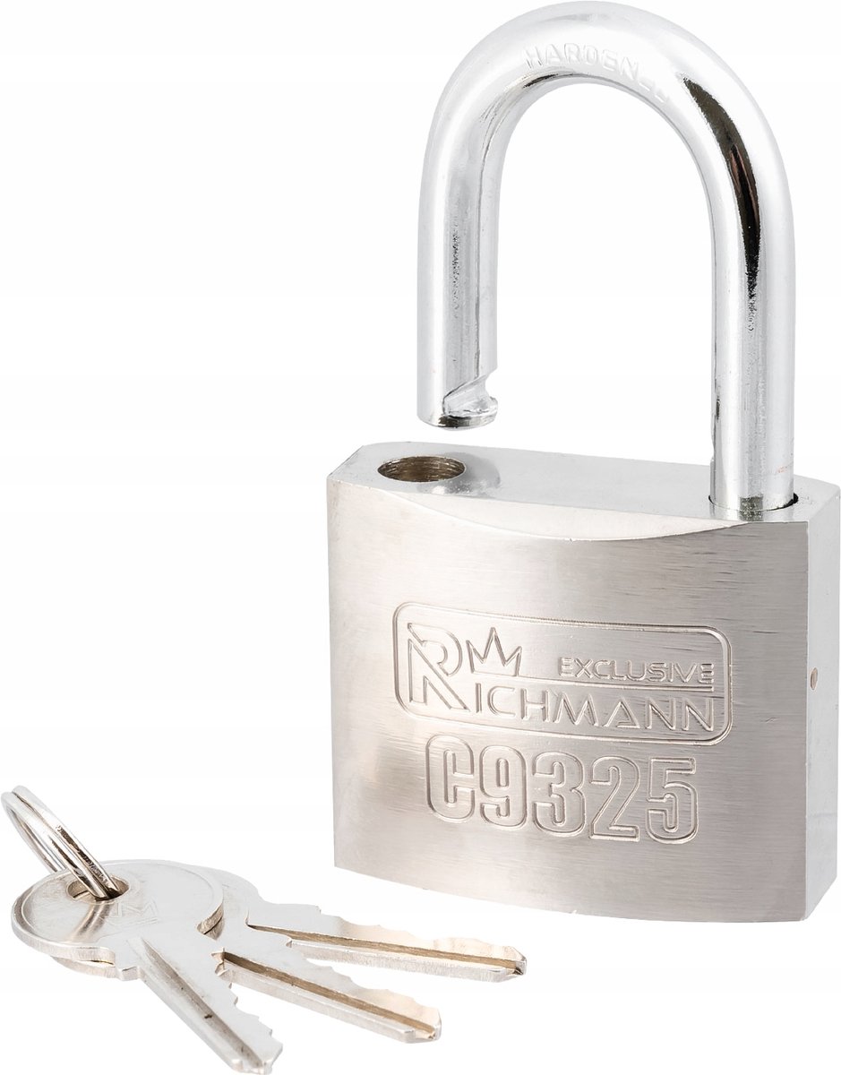 Richmann hangslot staal gehard 60 mm - sterk en weerbestendig