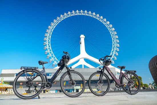 Twee elektrische fietsen, één zwart en één paars, voor een reuzenrad op een zonnige dag.