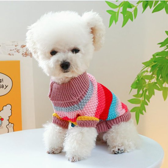Hondenjas - Hondentrui - Regenboog Puppytrui - Kleine Honden Gebreide Trui - Pet Dog Sweater- Kabeltrui Katten - Warme Kleding Kittens - Perfect voor Chihuahua - Yorkie - Toypoedel - Regenboog Medium - Feestdecoratie - Roze - Maat M