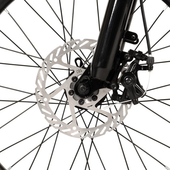 JOYSTAR 20 Inch Elektrische Kinder Mountainbike - 250W E-Bike voor Kinderen (7+ Jaar) - 25 km Actieradius - Met Verwijderbare Accu & Schijfremmen - Spaakwiel - Roze — afbeelding 5