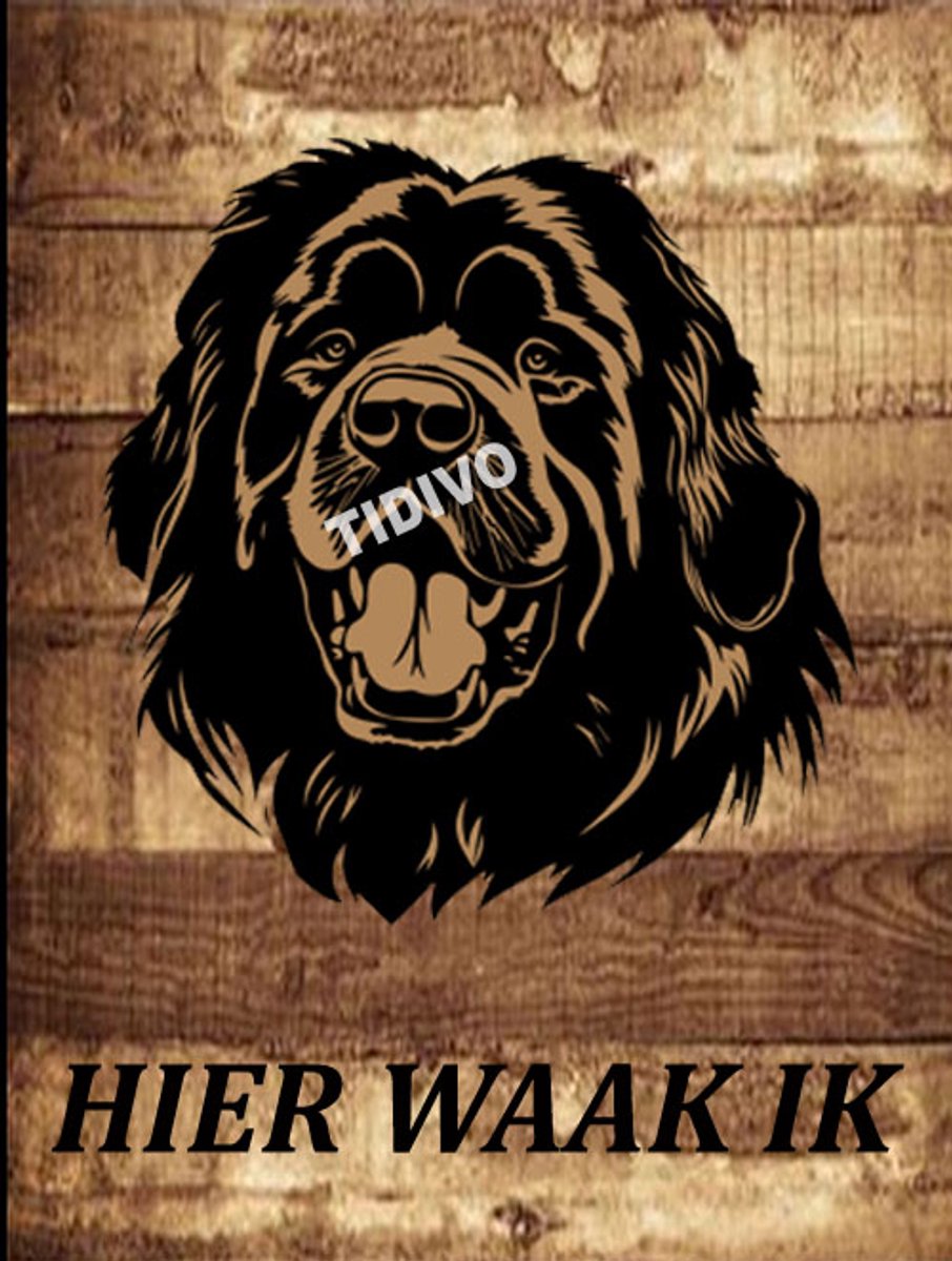 Tibetaanse Mastiff 20