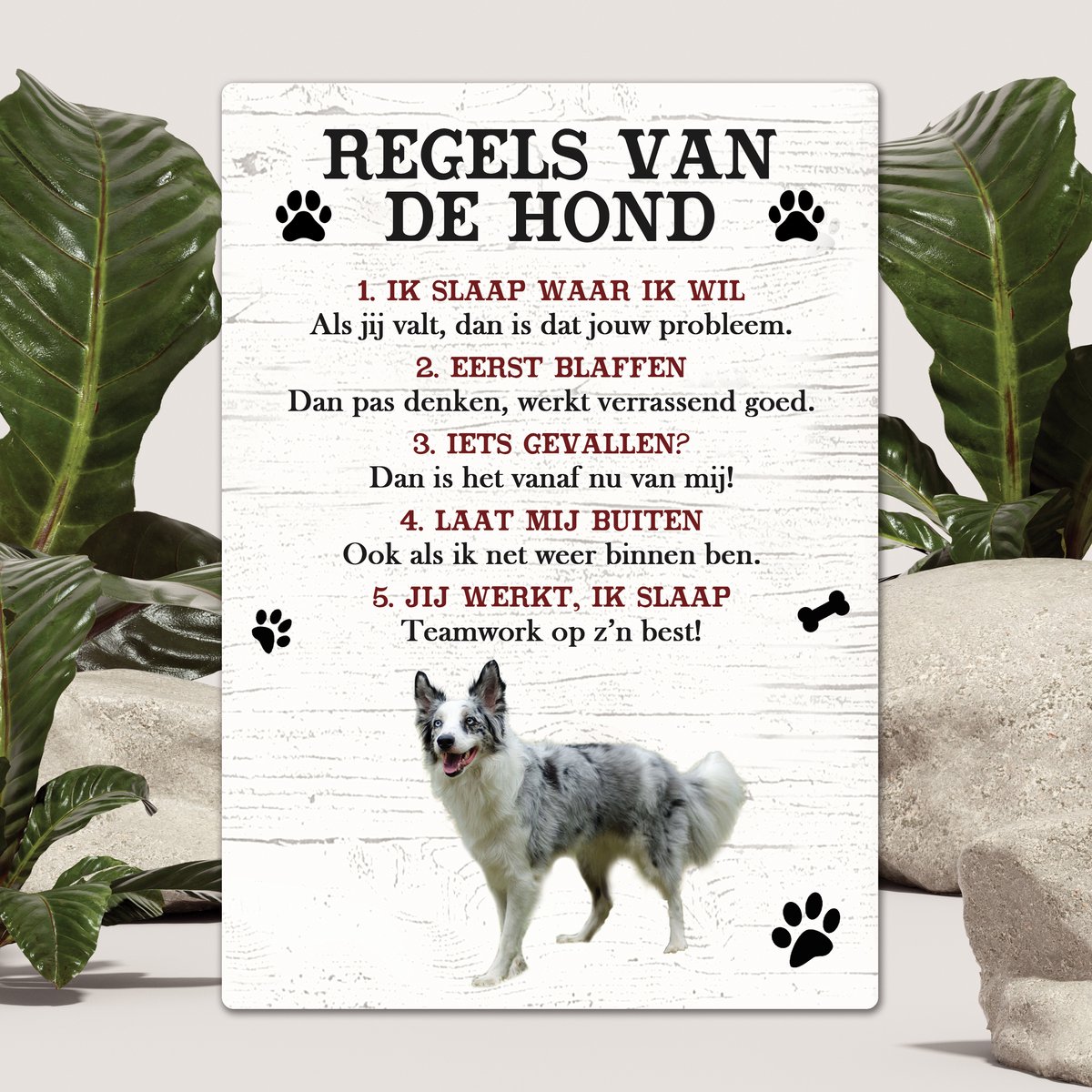 Spreuken - Bordercollie - Regels Van De Hond - Spreuken Bordjes - Spreukenbord - Tekstborden - Cadeau - Hondenras