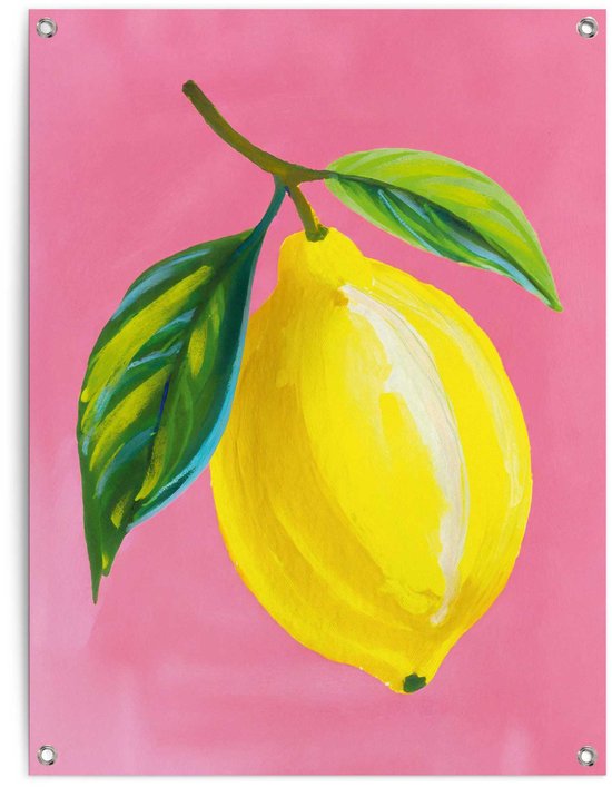 Tuinposter Lemon on Pink - 80 x 60 - Canvas - REINDERS