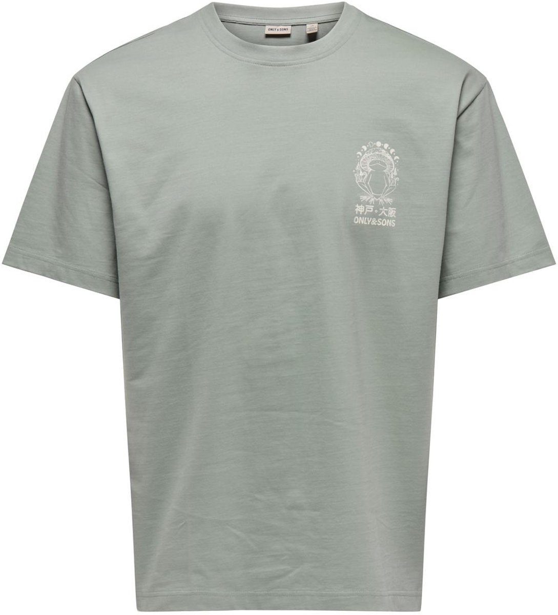 ONLY&SONS - ONSCHAMPI LIFE TOAD RLX SS TEE - Heren - T-shirts