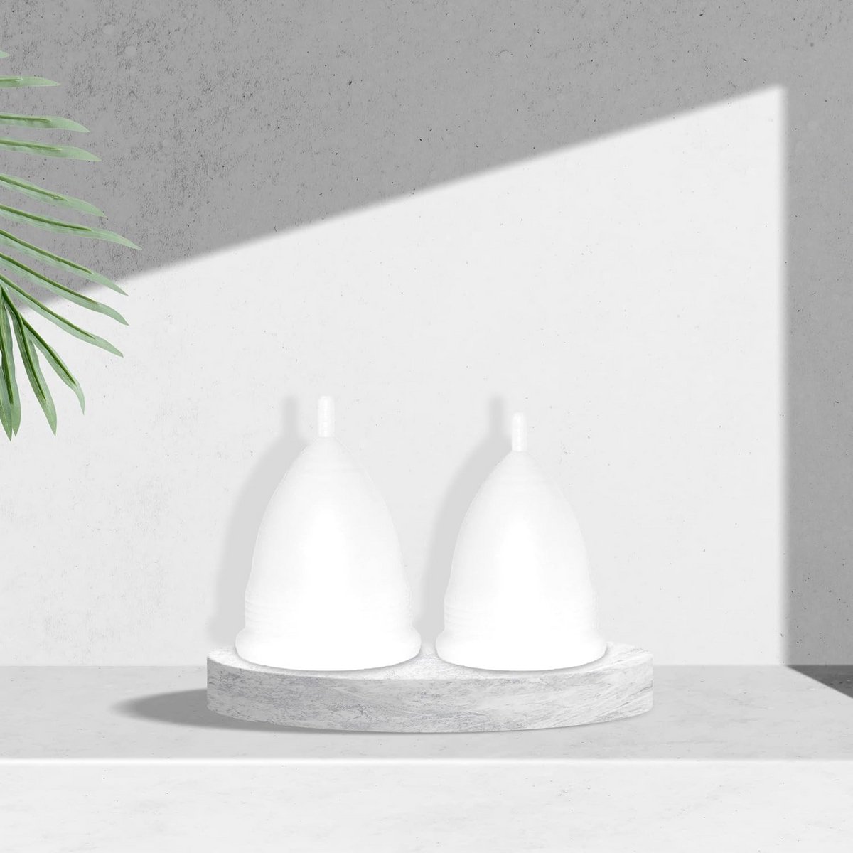 Menstruatiecups van Medische Siliconen in 2 Maten