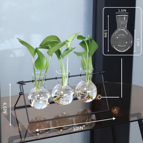 Groot Glazen Planten Terrarium - Voor orchideeën, vetplanten & varenmos