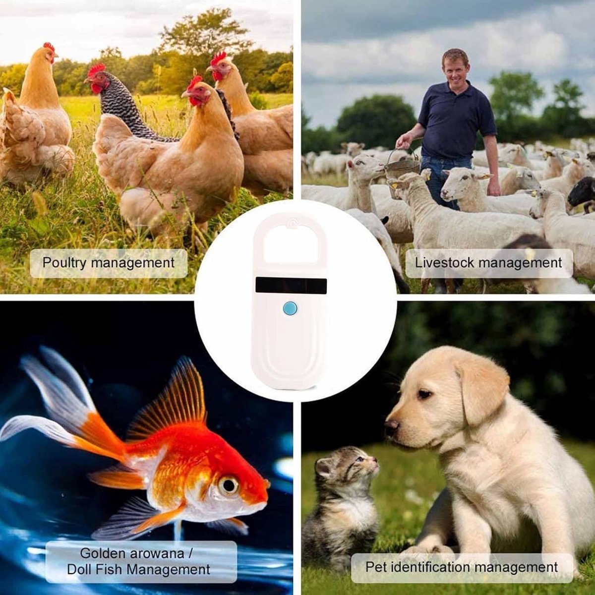 Draagbare Microchipscanner voor Dierenbeheer met OLED-display