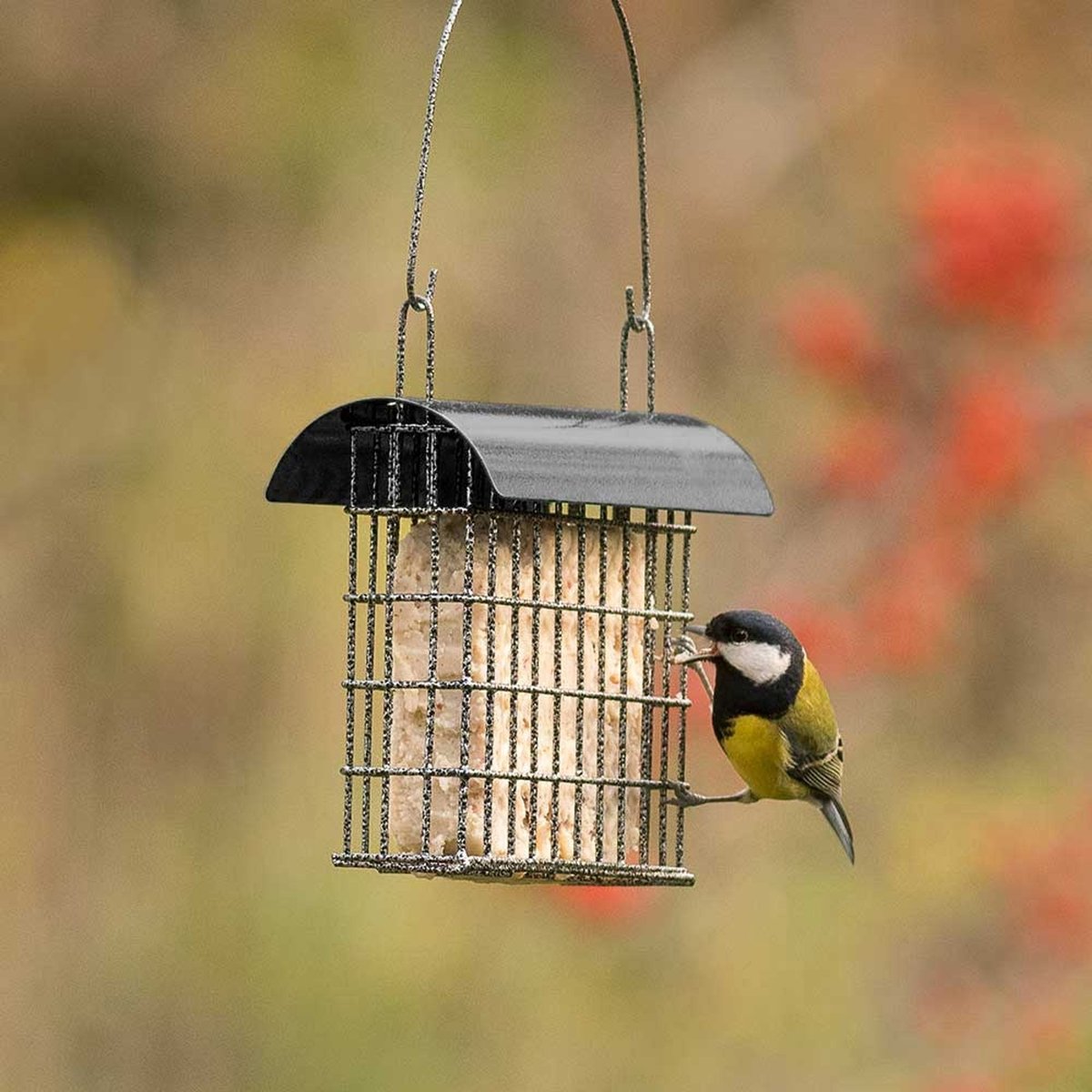 CJ Wildlife Vetblokhouder voor Vogels - Sydney - Mezenbolhouder voor 1 Vetblok - Voederhuisje Wandmodel - Bruin