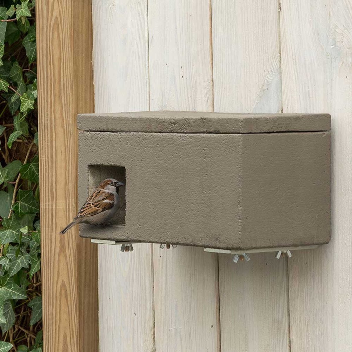 Bol.com CJ Wildlife Nestkast - Almeria - Woodstone Mussenloft - Nestkastje voor o.a. Koolmees, Boomklevers & Mussen - Houten Vog... aanbieding