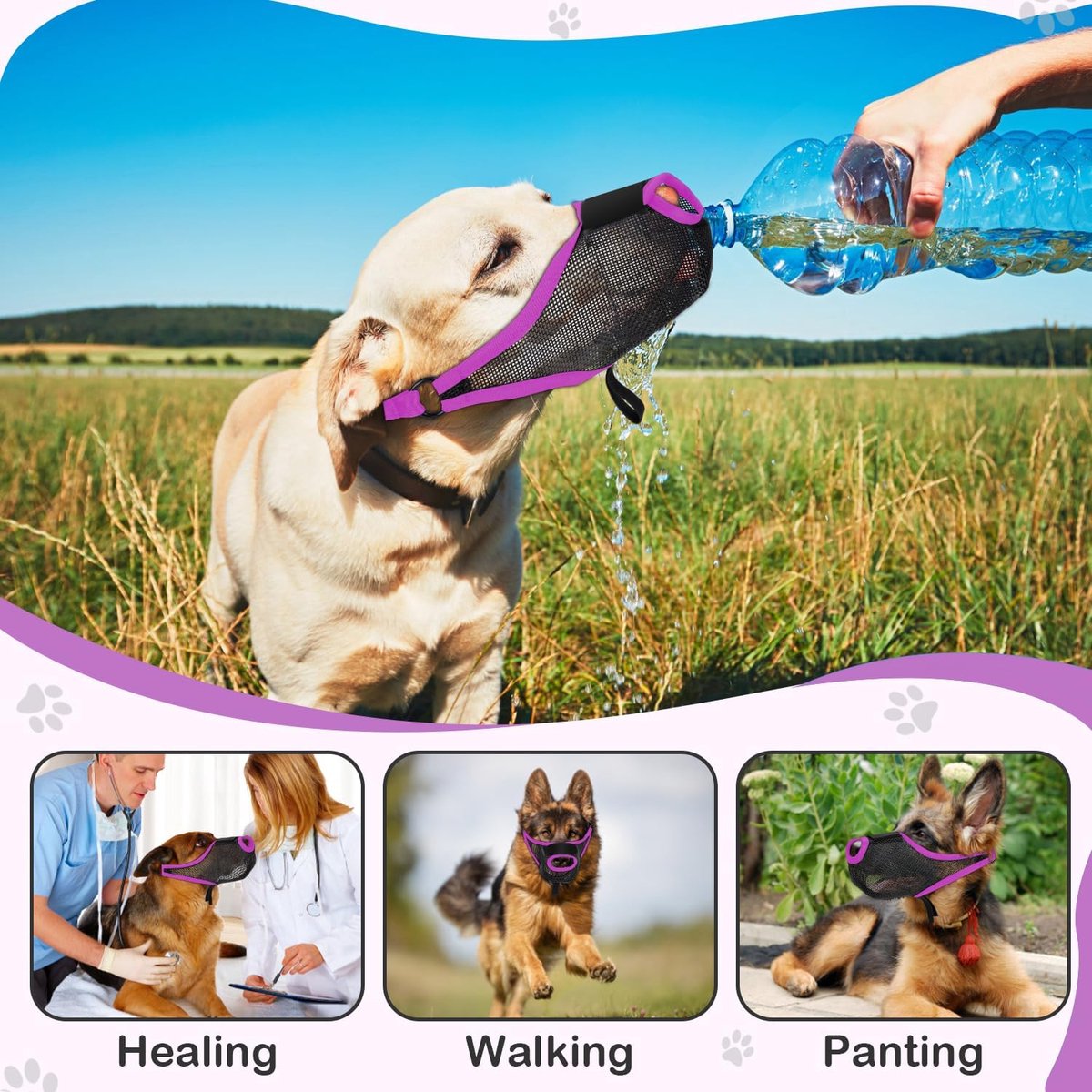 Soft Air Mesh Dog Muzzle For S-M-L Dogs - Anti-Biting Barking Chewing Scavenging Adjustable Loop - Front Opening Design Allows Panting Drinking - Grooming Training Walking Pet Accessory - Breathable Comfortable Pet Supplies-paars, M — cadeau in Cadeau-ideeën - foto 2