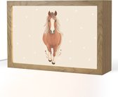 Nachtlampje 30x20 cm - Kinder lampje - Paard - Galop - Bruin - Stippen - Tafellamp kinderkamer - Slaapkamer lamp - Bedlamp kinderen - Kinderlampje stopcontact - Wandlamp babykamer - Nachtlampjes