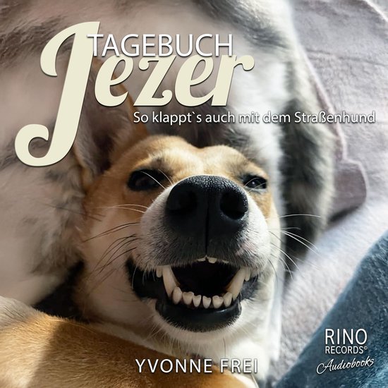 Tagebuch Jezer - cover