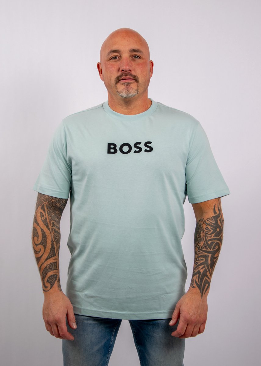 BOSS TS_Logo