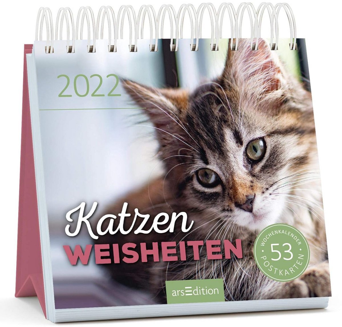 Wenskaarten Kalender 2024 met Kattenwijsheid - Afscheurbare Postkaarten en Weekplanner