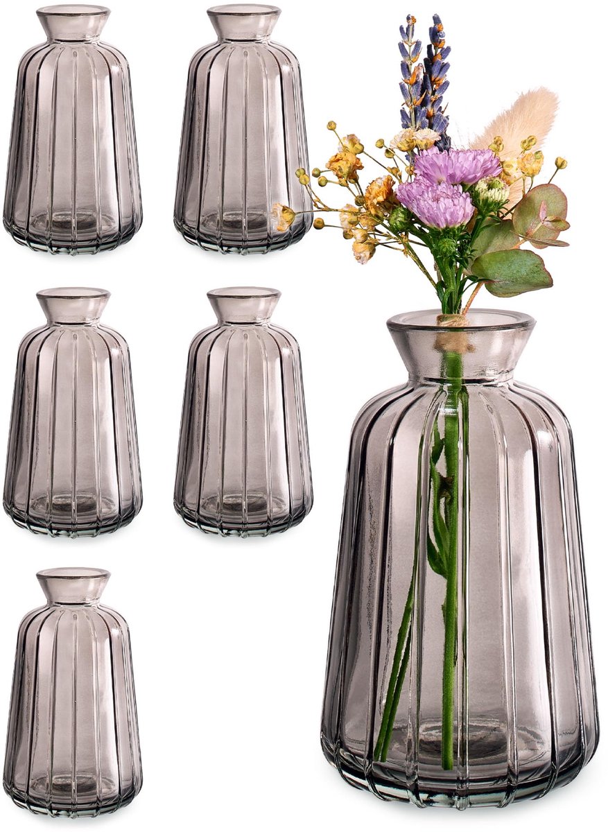 IMPERATORIS® Glazen Vazen / Glazen Flessen – Mini Decoratieve Vaas Flesjes – Helder Glas – Inclusief Strik – 6 Stuks – 6.7 x 6.7 x 10.8 cm – Grijs