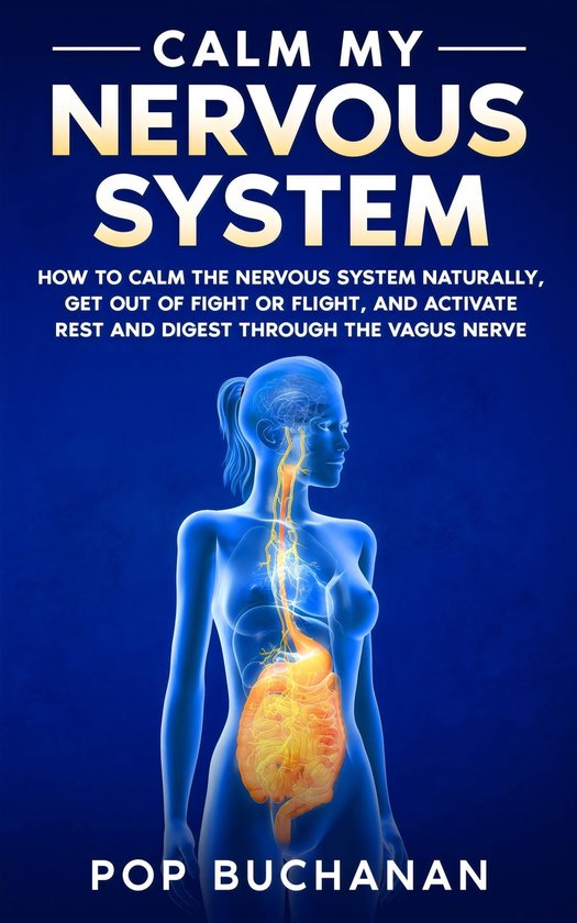 Calm My Nervous System - cover