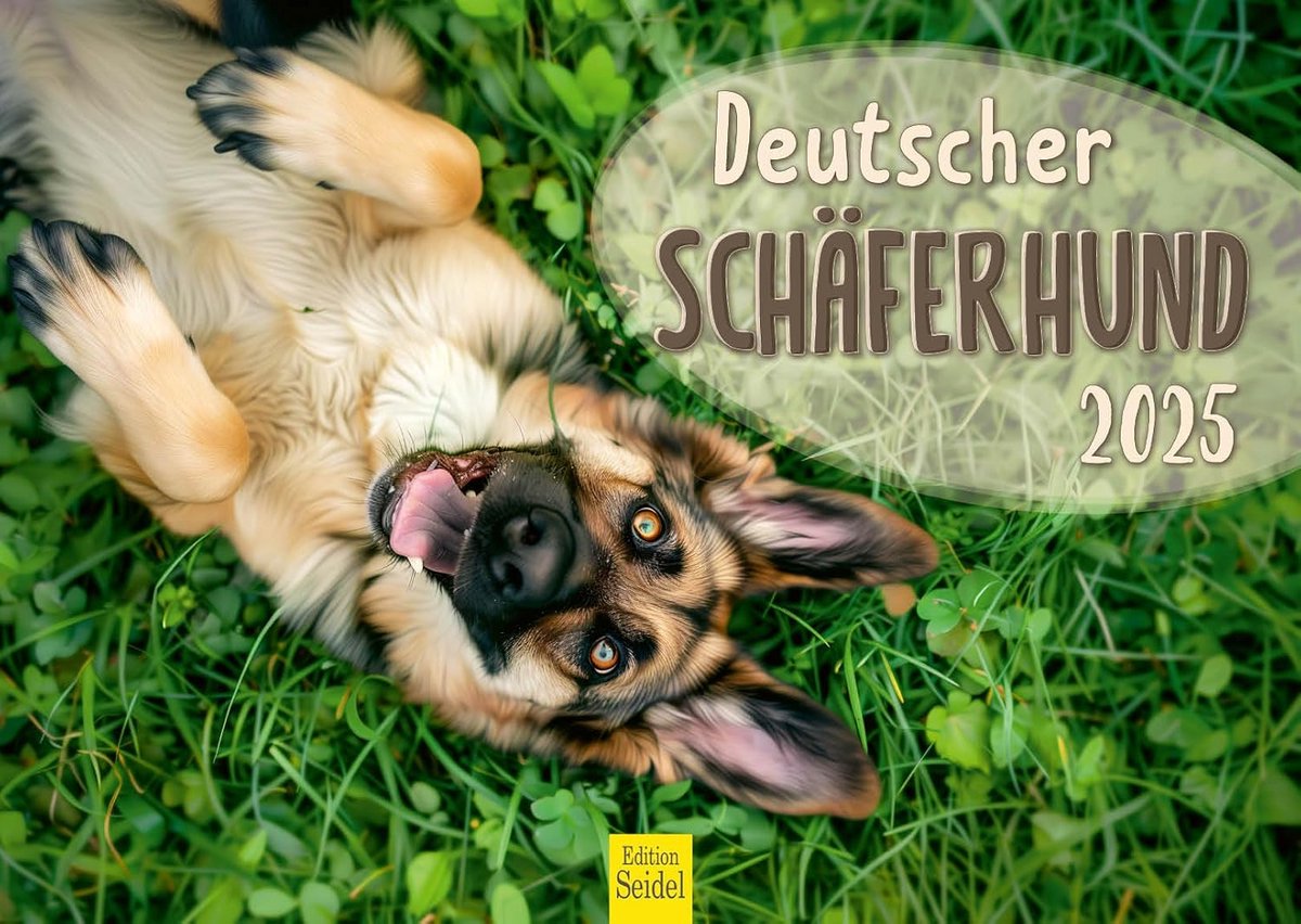 Wandkalender Duitse Herder 2025 - DIN A3 - Hondenkalender met Hoge Kwaliteit Foto's