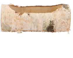 Berkenhouten plantenhouder | natuurlijke plantenbak 19 x 10 x 9 cm