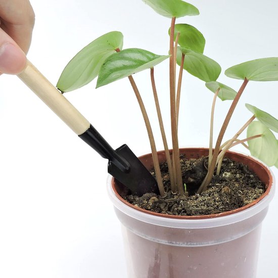 Set van 3 draagbare mini-tuingereedschappen - miniatuur tuinhark, troffel en schep voor zaaien, bonsai, vetplanten, kruiden, terraria en aanplant van Merkloos	 — afbeelding 2