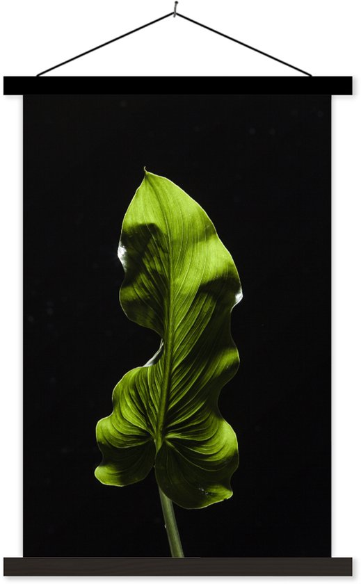 affiche d'école feuille verte sur fond noir lamelles plates noir 40x60 cm - Tirage photo sur affiche textielposter (décoration murale salon / chambre)