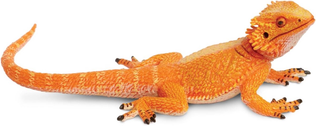 Realistisch Model Baardagaam Reptiel