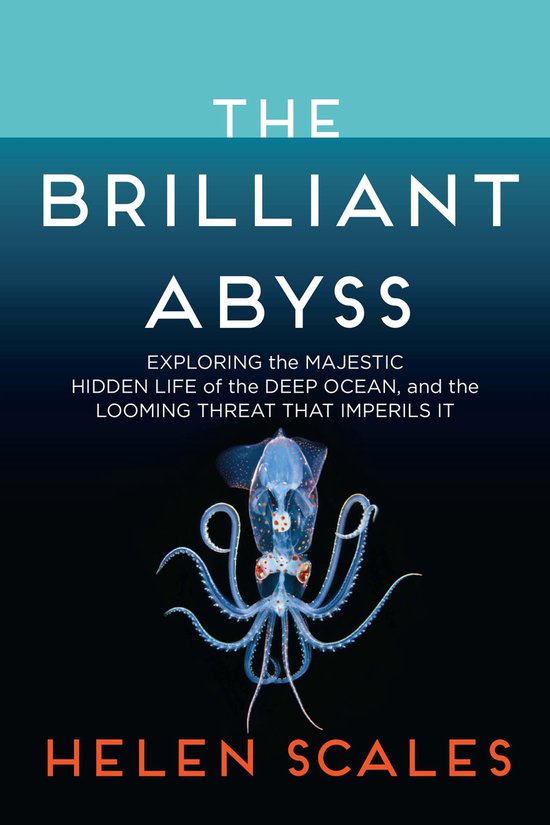 The Brilliant Abyss - cover