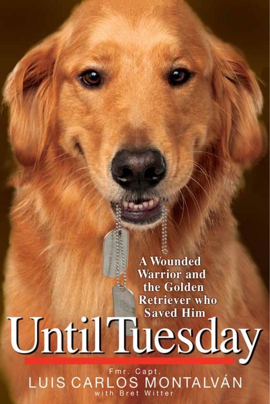 Until Tuesday - cover