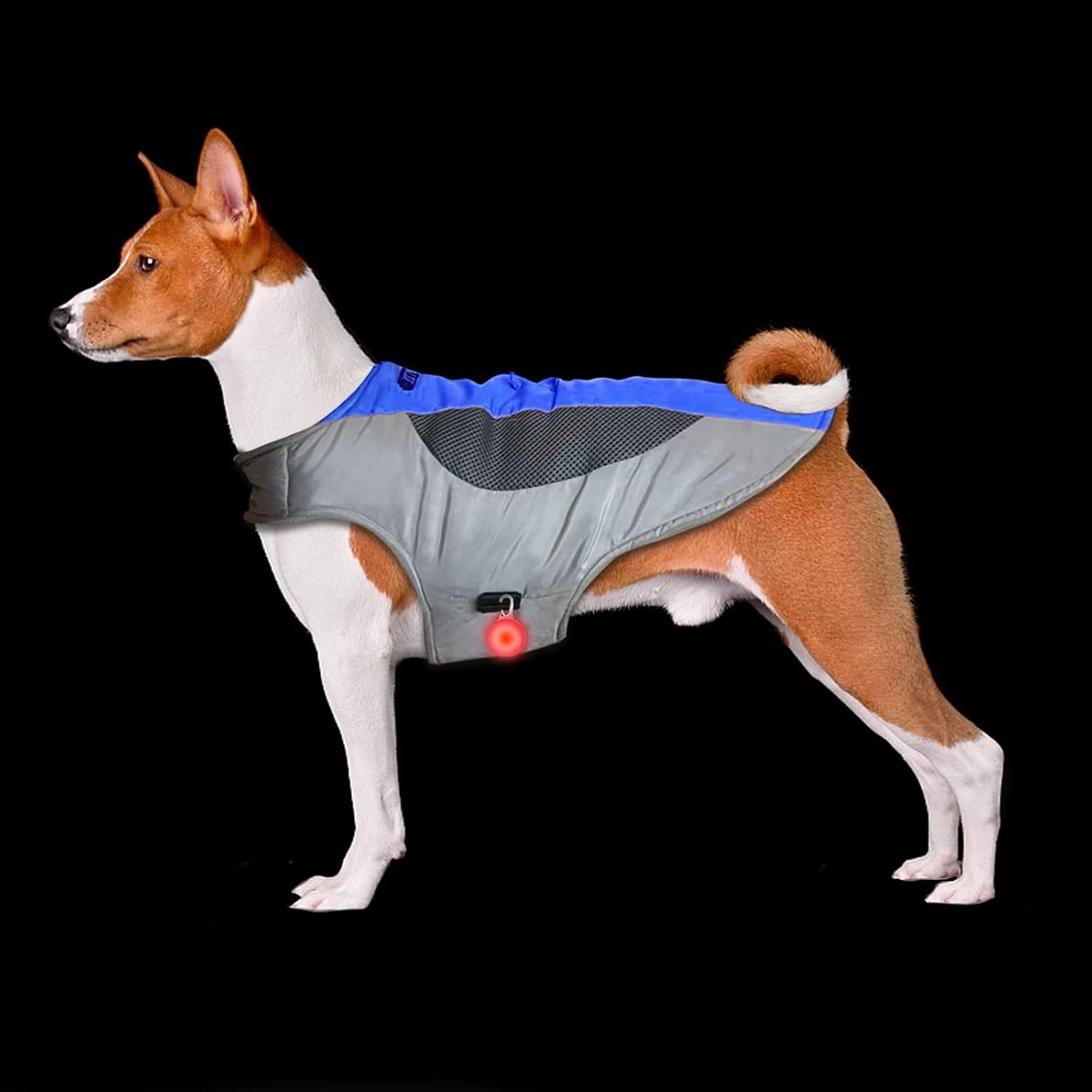 Winterjas voor honden, warme hondenkleding, skipak voor buitenactiviteiten, met LED-licht voor kleine en grote honden