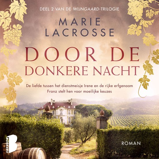 Door de donkere nacht - cover