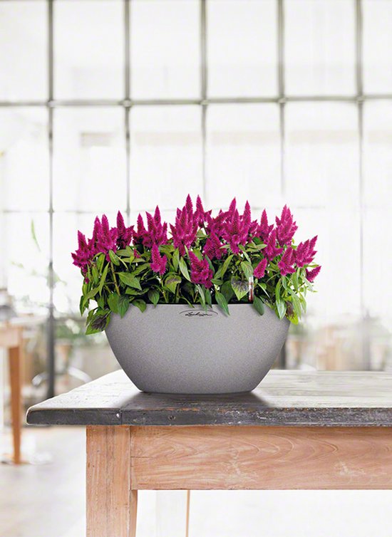 LECHUZA CUBETO Stone 40 - Plantenbak - met uitneembare binnenbak - met bewateringssysteem - ALL-IN-ONE set met LECHUZA-PON - steengrijs