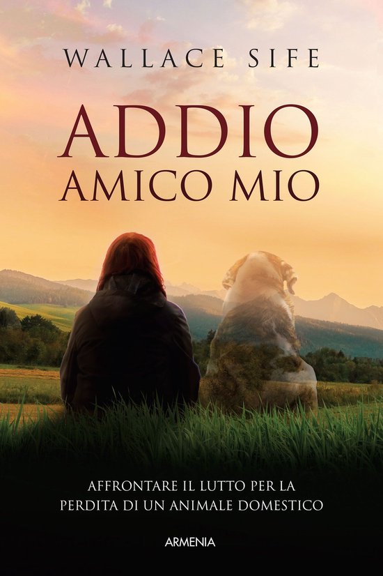 Addio, amico mio - cover