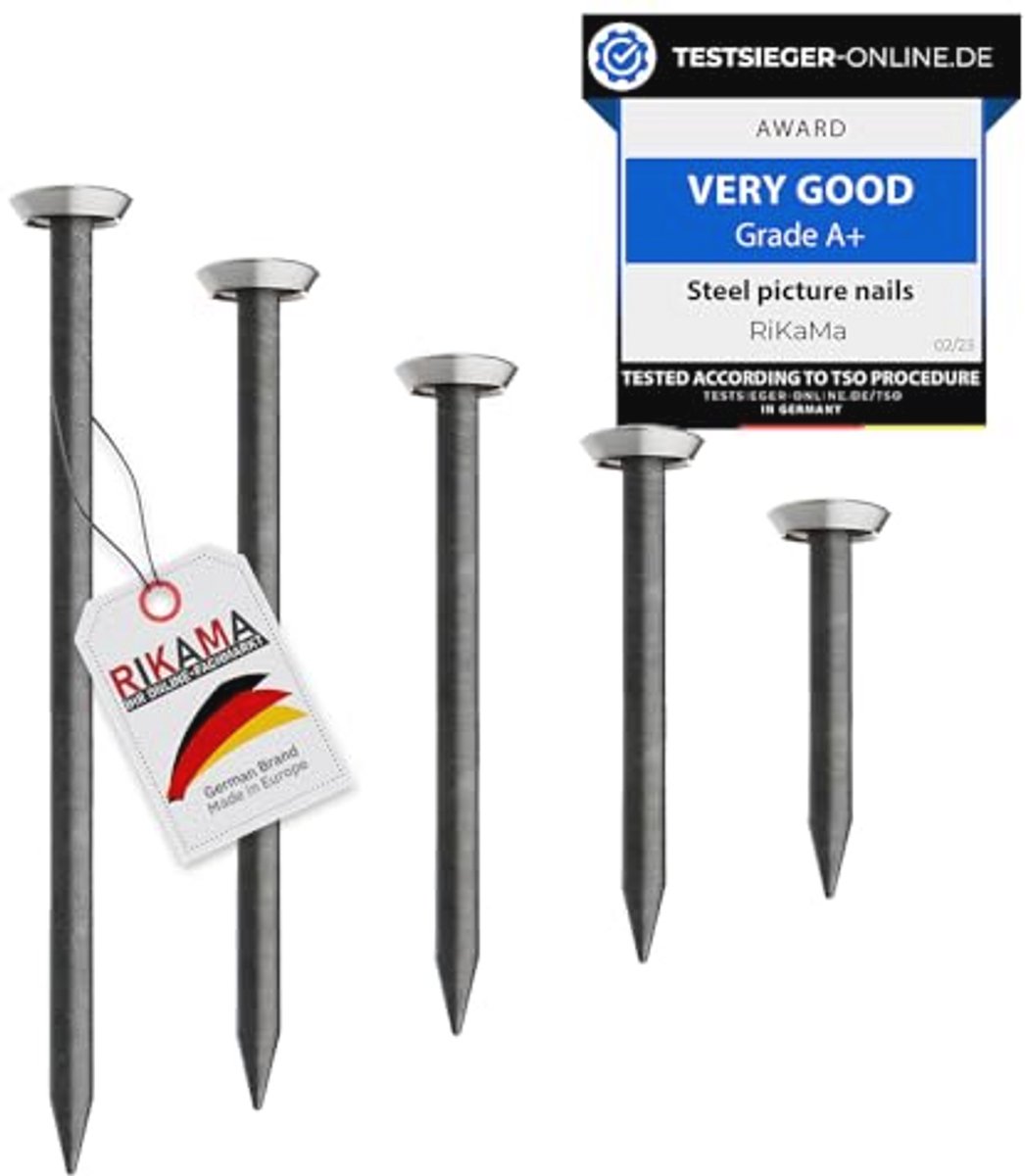 Set van 50 Stalen Spijkers 10-50 mm voor Hout, Beton en Baksteen