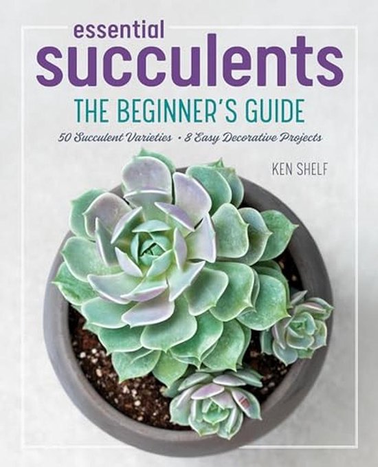 Beginner's Guide to Growing and Designing with Succulents | bol